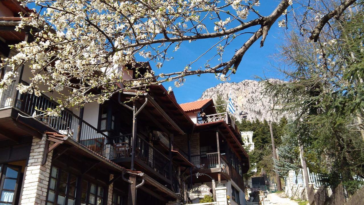 Hotel Xenonas Brizi Eláti Exterior foto